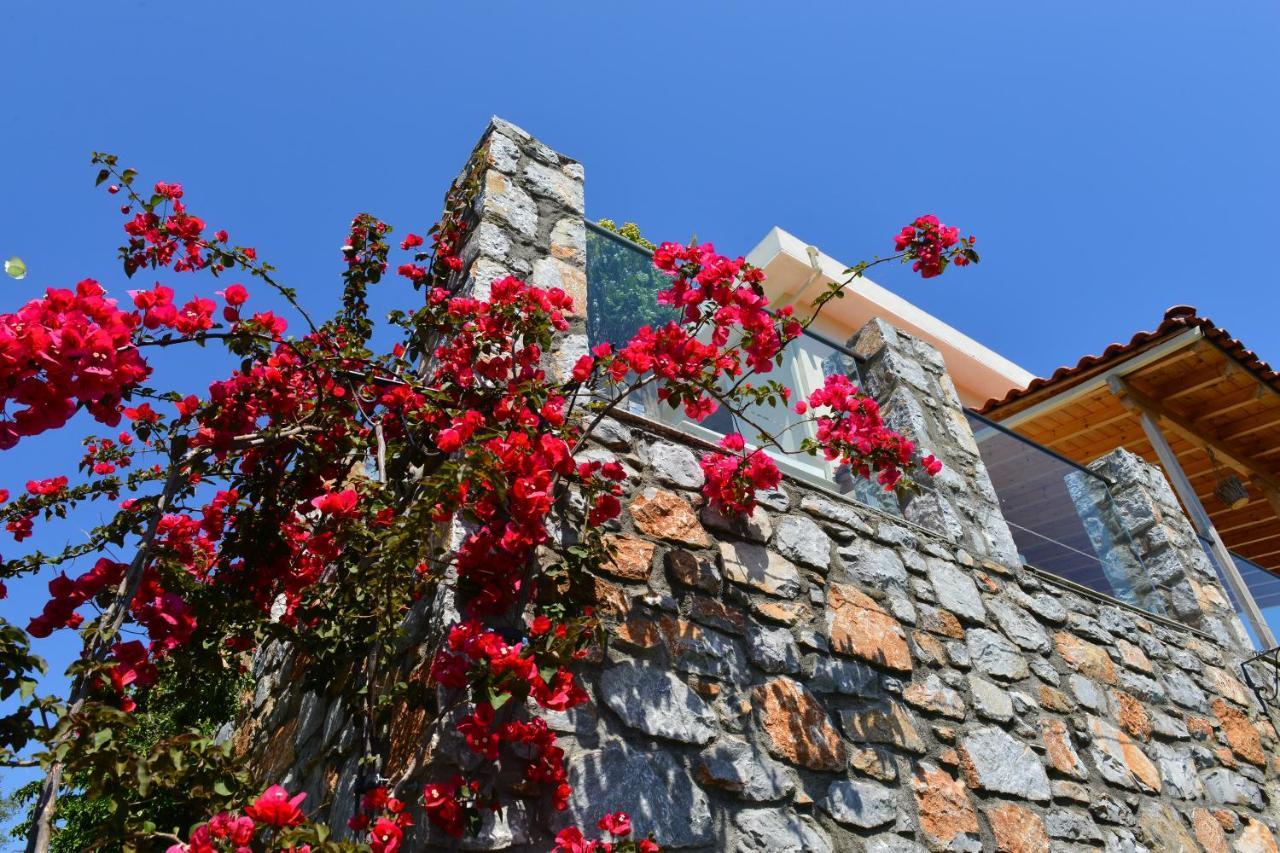 Melina Skiathos Kolios Bagian luar foto